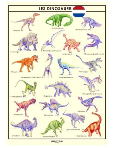 Marc Vidal - 101NL - Poster De dinosaurussen in kartonnen koker NL