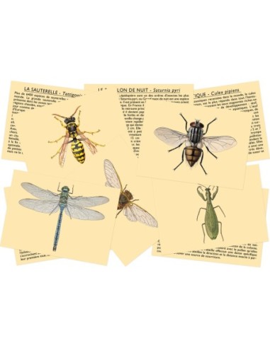 Marc Vidal - 165NL - Ken je de insecten? NL